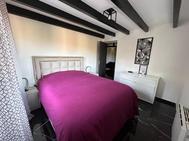 Sinalospa - Culiacan - Appartement Jardin Jacuzzi Sauna A 5 Minutes De Nancy Place Stanislas Champigneulles Kültér fotó